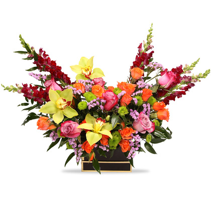 Sunset Luxe in a Black Flower Box