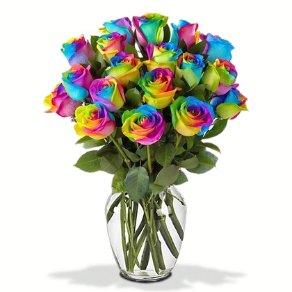 Rainbow Roses in a Vase