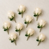 Pack of 10 pc