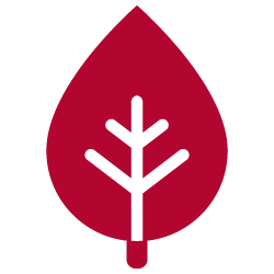 Plants icon
